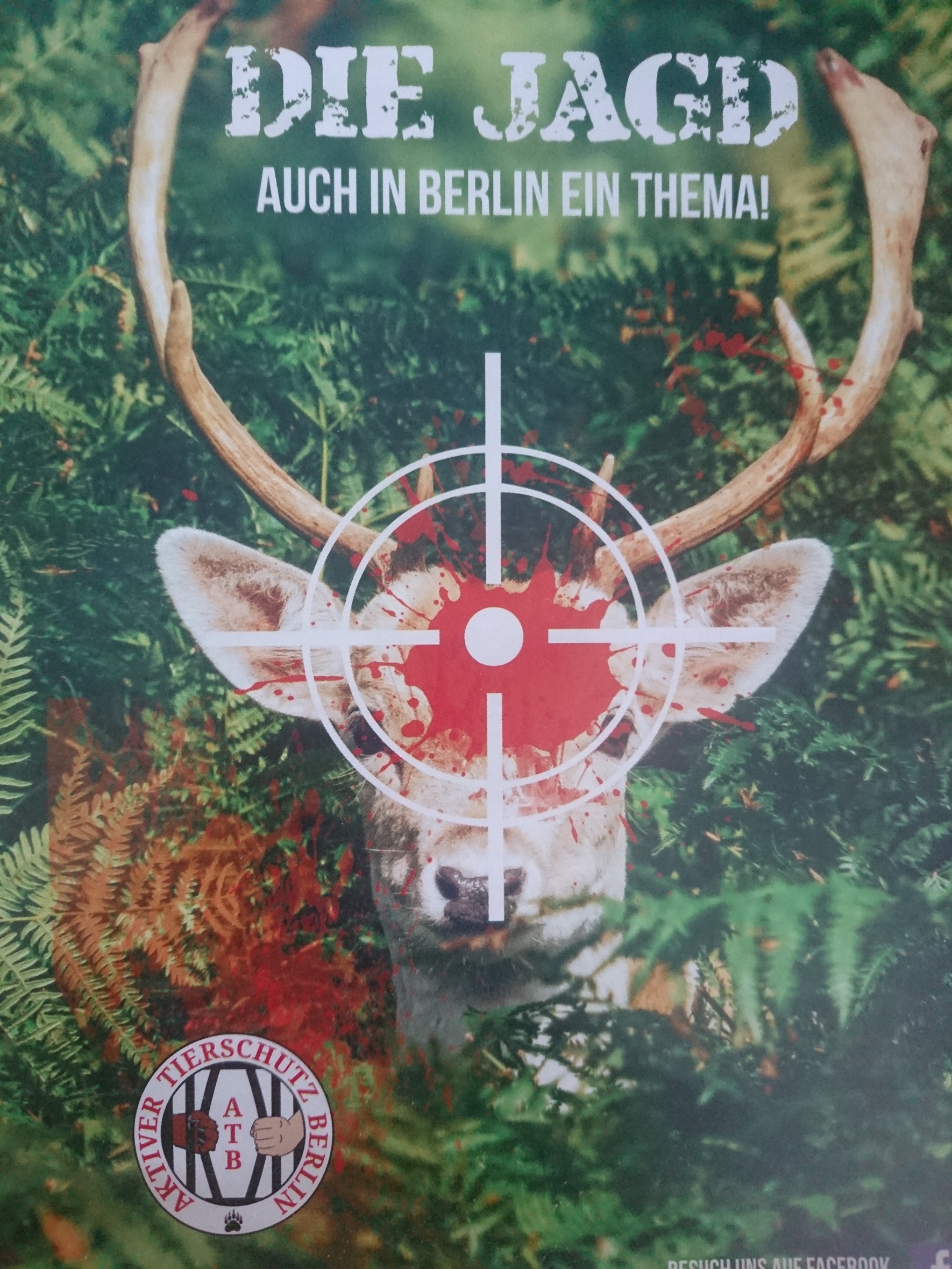 Anti-Hunting Flyer